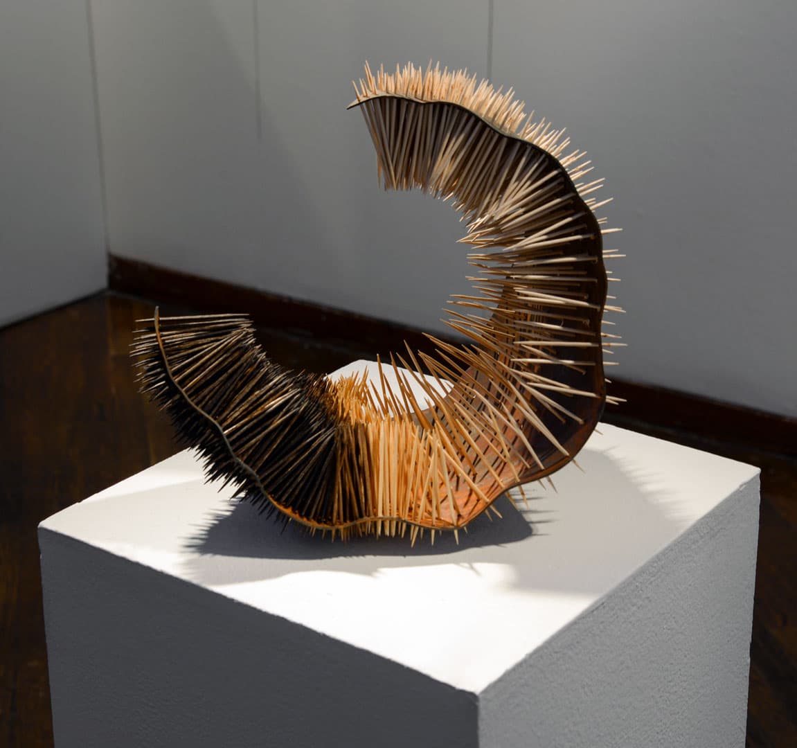 Scottie Burgess mundane multiples textural toothpick sculpture