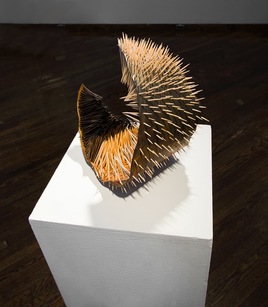 Scottie Burgess mundane multiples textural toothpick sculpture